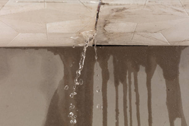 Professional Water Damage Repair technician working in Montevallo, AL